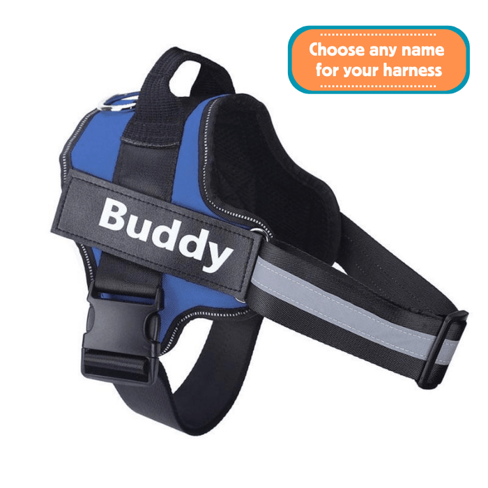 EasyHarness®