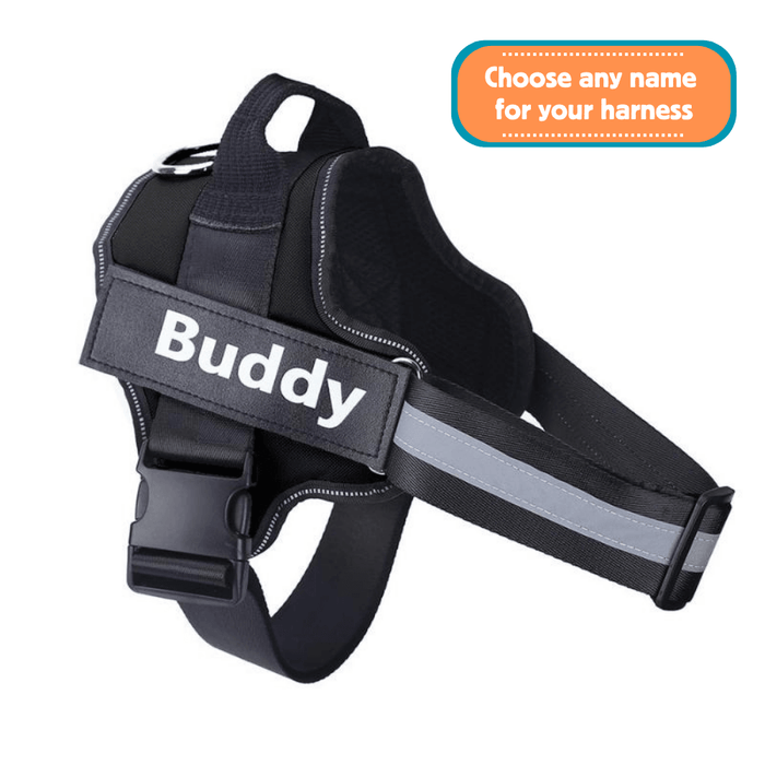 EasyHarness®