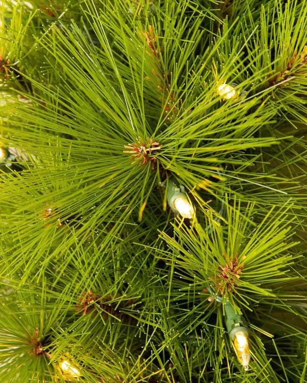 🎄Arbre de Noël MAGIQUE