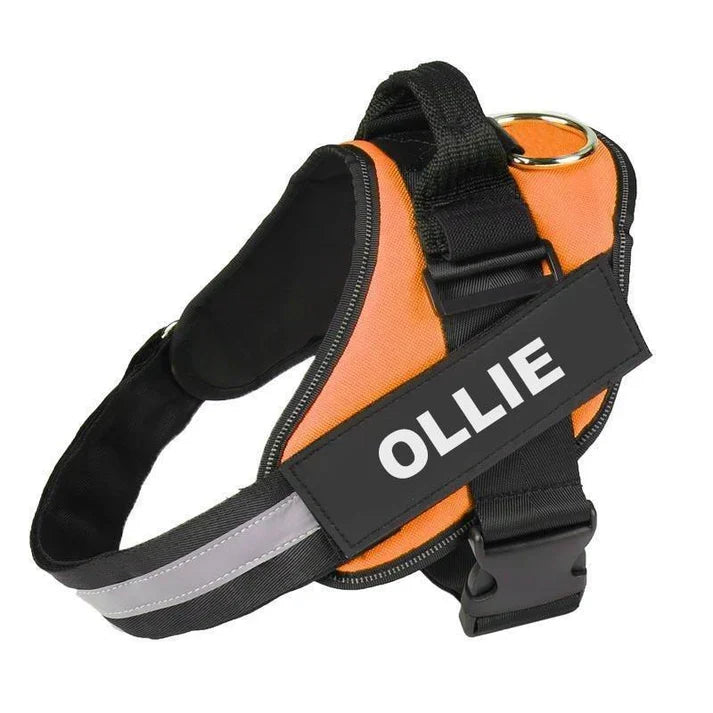 EasyHarness®